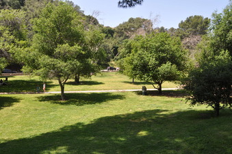Enlarge photo 14