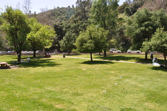 Enlarge photo 17
