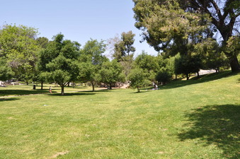 Enlarge photo 18