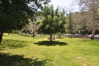 Enlarge photo 20