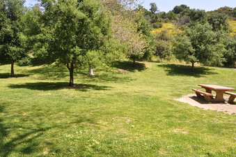 Enlarge photo 22