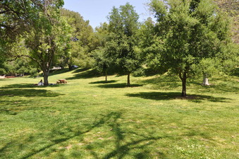 Enlarge photo 23
