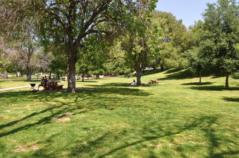 Enlarge photo 25