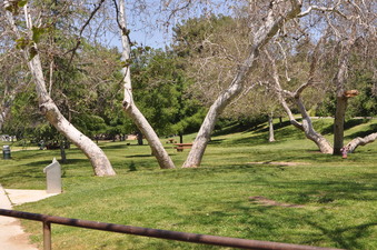 Enlarge photo 29