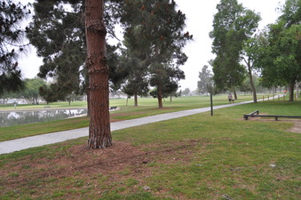 Enlarge photo 10
