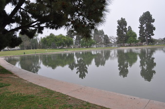 Enlarge photo 14