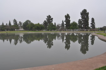 Enlarge photo 19