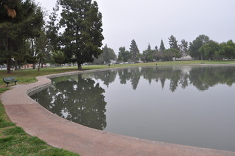 Enlarge photo 20