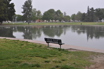 Enlarge photo 21