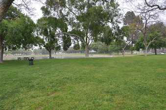 Enlarge photo 25