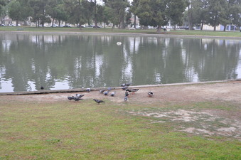 Enlarge photo 28