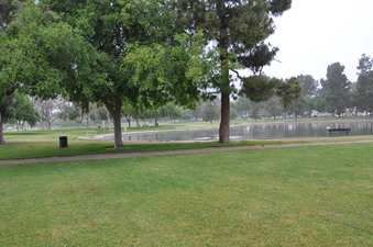 Enlarge photo 30