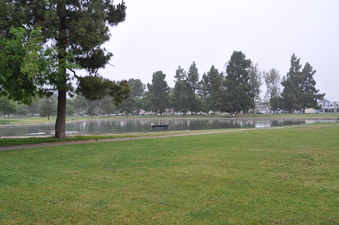 Enlarge photo 31