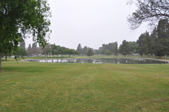 Enlarge photo 33