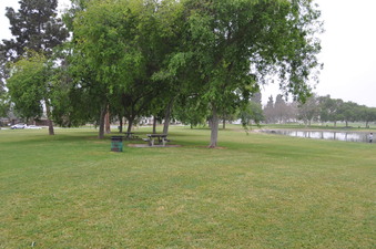 Enlarge photo 34