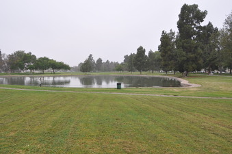 Enlarge photo 35