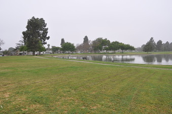 Enlarge photo 36