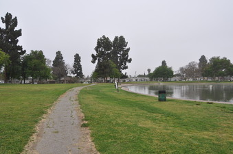 Enlarge photo 37