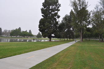 Enlarge photo 38