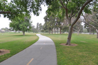 Enlarge photo 39