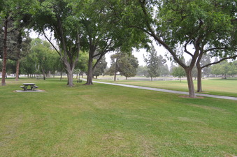 Enlarge photo 41