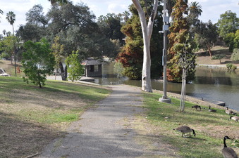 Enlarge photo 2