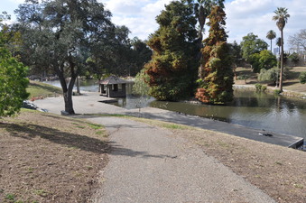 Enlarge photo 5
