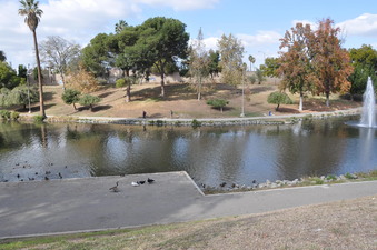 Enlarge photo 9