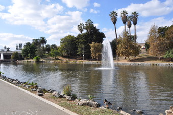 Enlarge photo 13