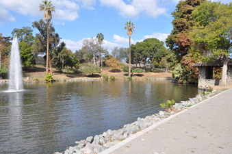 Enlarge photo 15