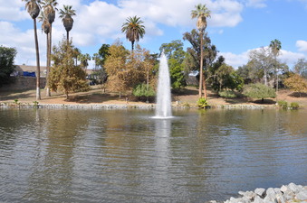 Enlarge photo 16
