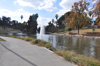 Enlarge photo 21