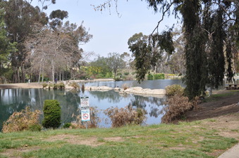 Enlarge photo 2