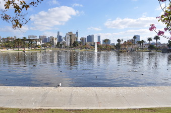 Enlarge photo 13
