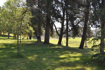 Enlarge photo 14
