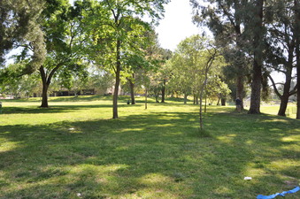 Enlarge photo 15