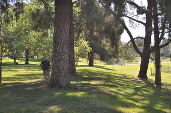 Enlarge photo 18