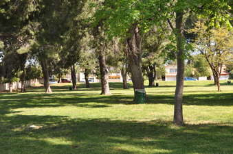 Enlarge photo 19