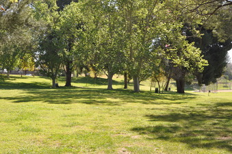 Enlarge photo 21