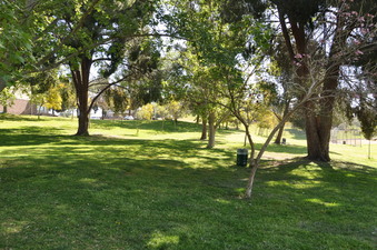 Enlarge photo 28