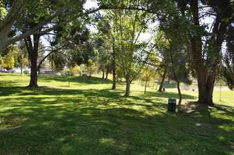 Enlarge photo 30