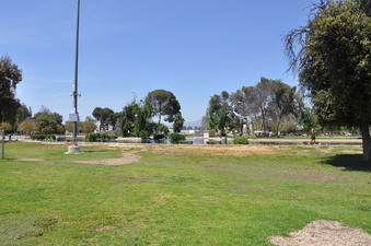 Enlarge photo 12
