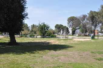 Enlarge photo 14