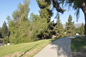 Enlarge photo 9