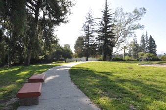 Enlarge photo 19