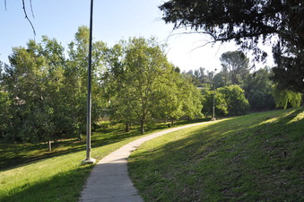 Enlarge photo 24