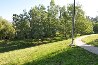 Enlarge photo 25