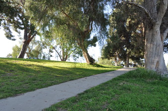 Enlarge photo 26