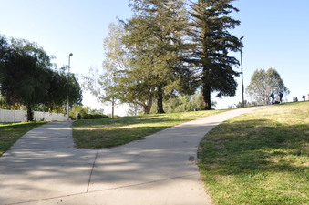 Enlarge photo 31