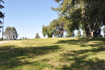 Enlarge photo 33